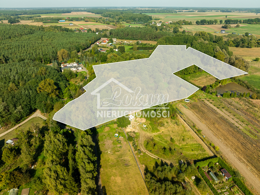 Działka rolna 2,92&nbsp;ha, Stawno - zdjęcie 12