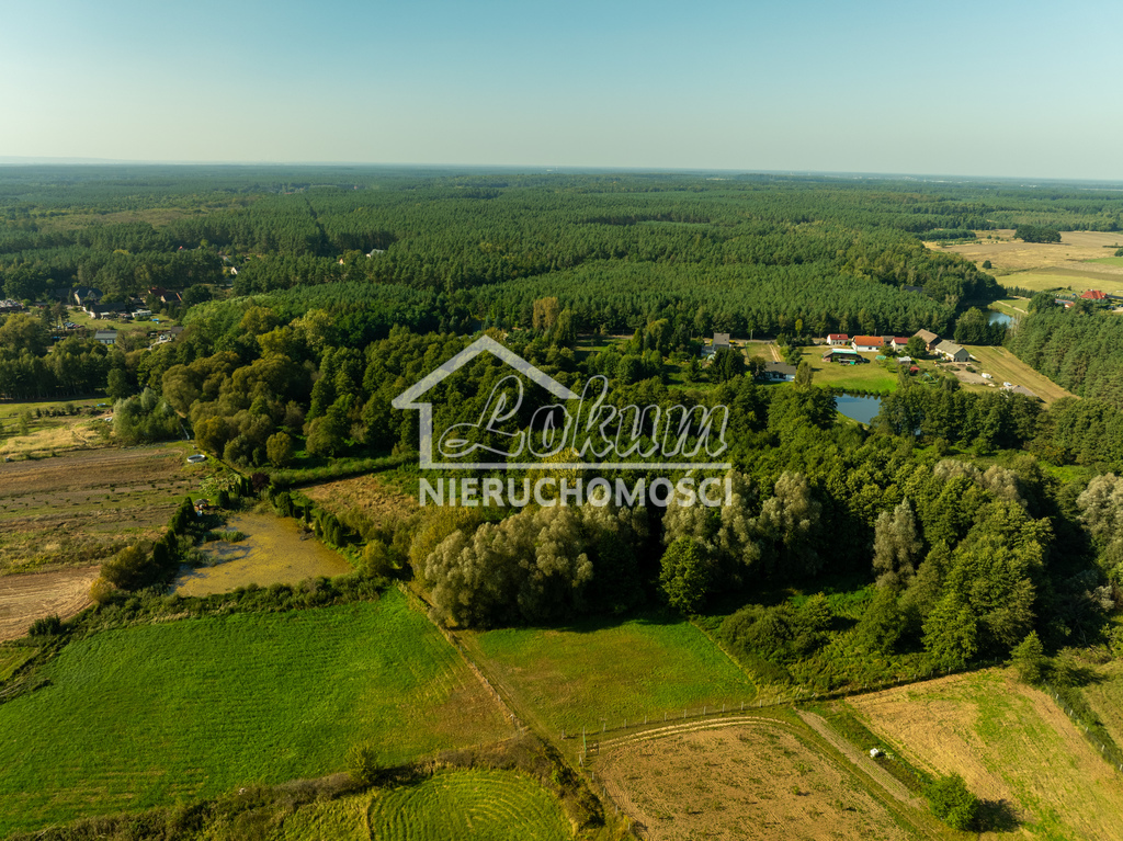 Działka rolna 2,92&nbsp;ha, Stawno - zdjęcie 15