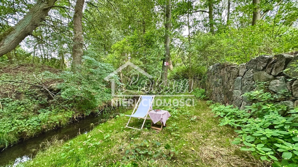 Działka rolna 2,92&nbsp;ha, Stawno - zdjęcie 9