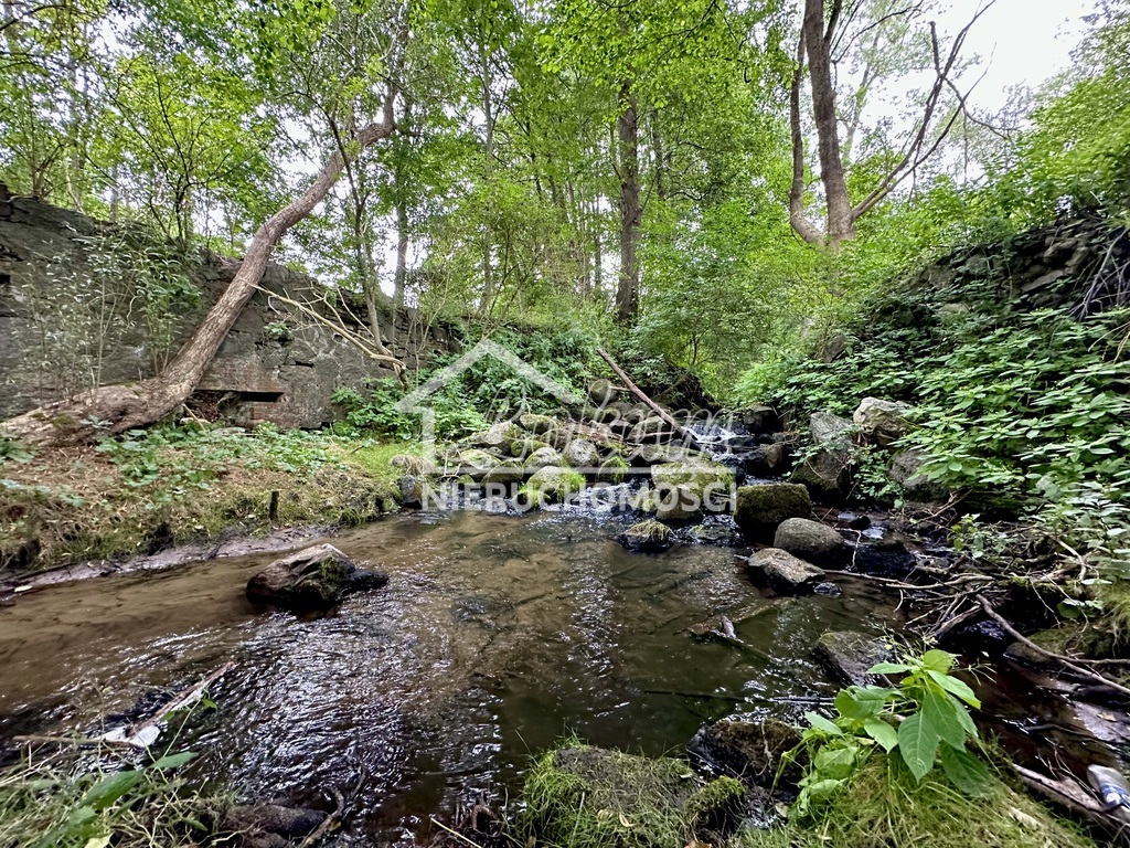 Działka rolna 2,92&nbsp;ha, Stawno - zdjęcie 7