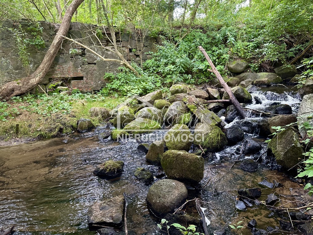 Działka rolna 2,92&nbsp;ha, Stawno - zdjęcie 8