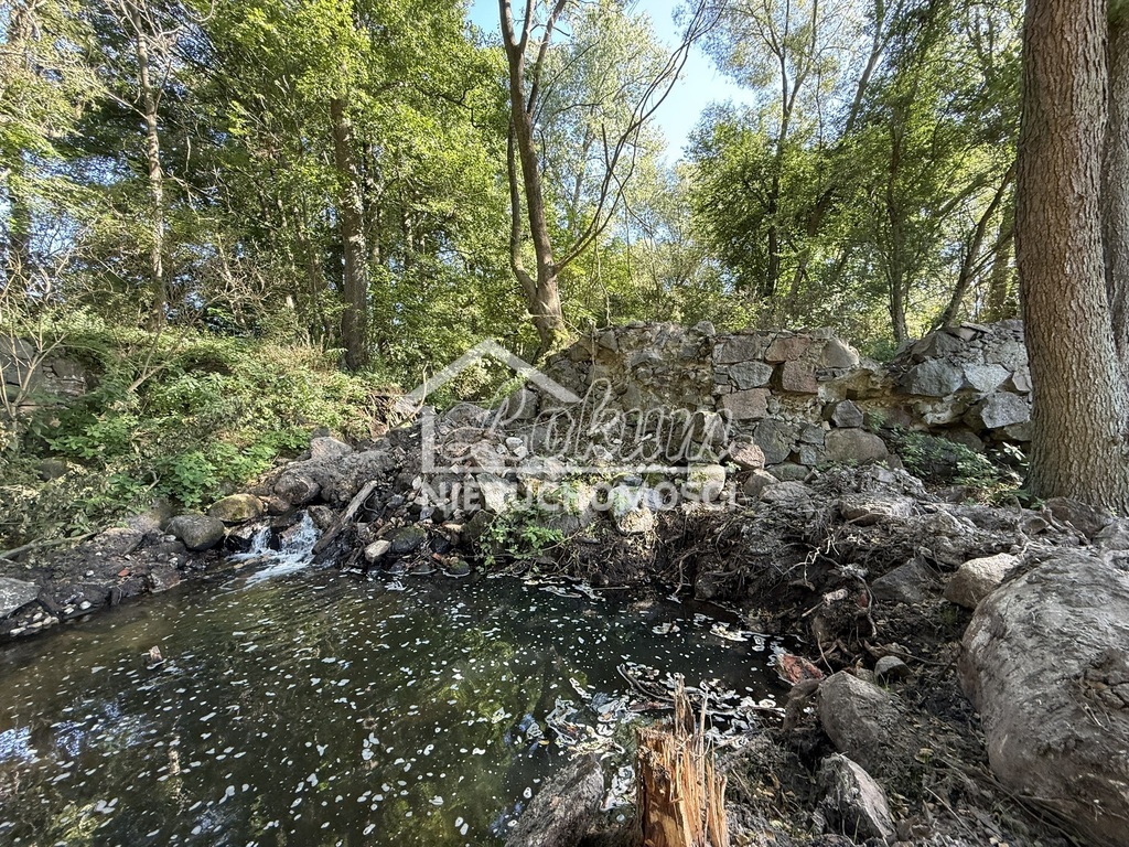 Działka rolna 2,92&nbsp;ha, Stawno - zdjęcie 5