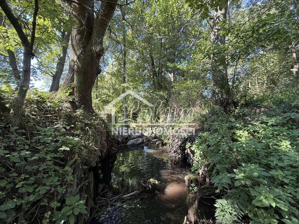 Działka rolna 2,92&nbsp;ha, Stawno - zdjęcie 6