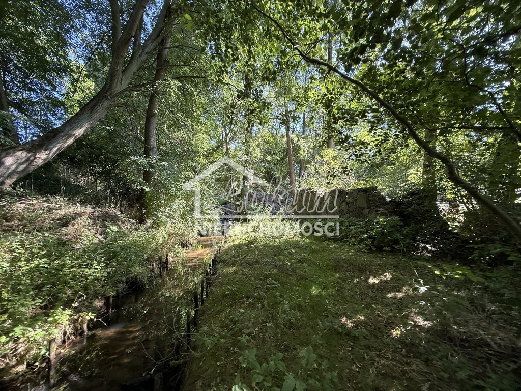 Działka rolna 2,92&nbsp;ha, Stawno - zdjęcie 2