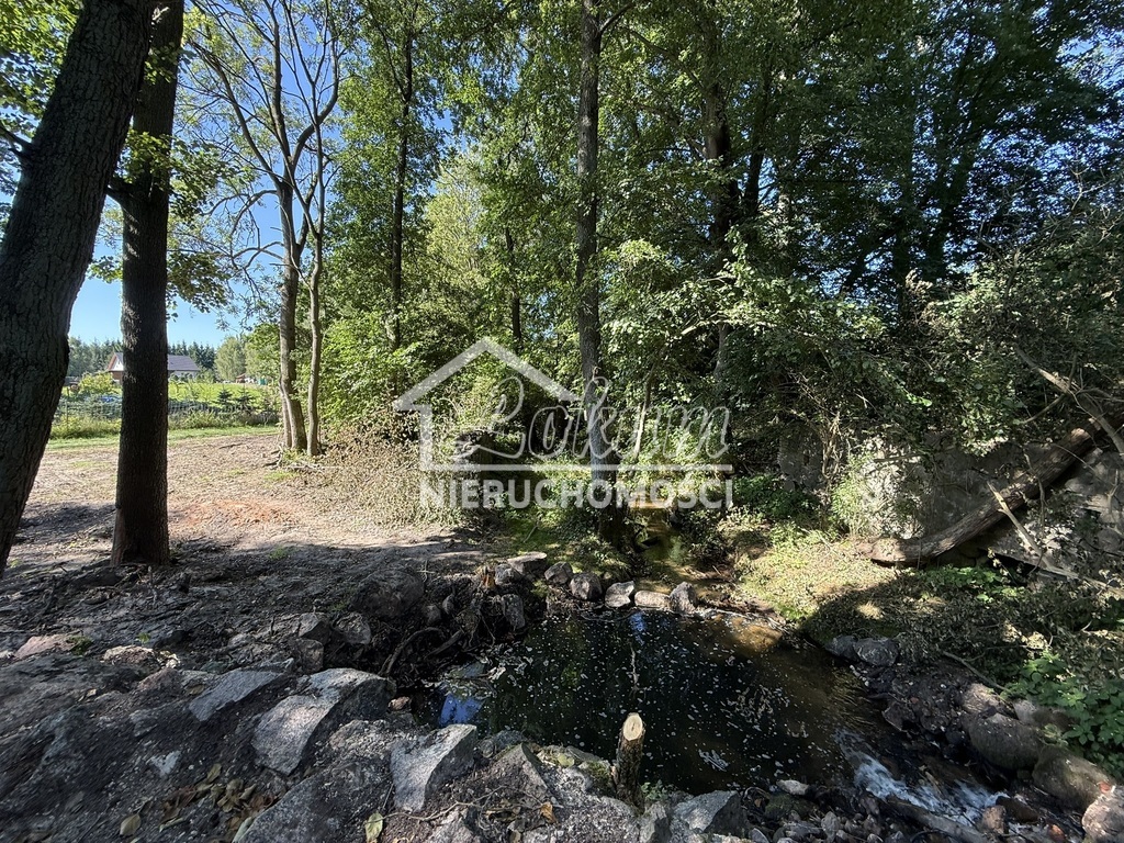 Działka rolna 2,92&nbsp;ha, Stawno - zdjęcie 1