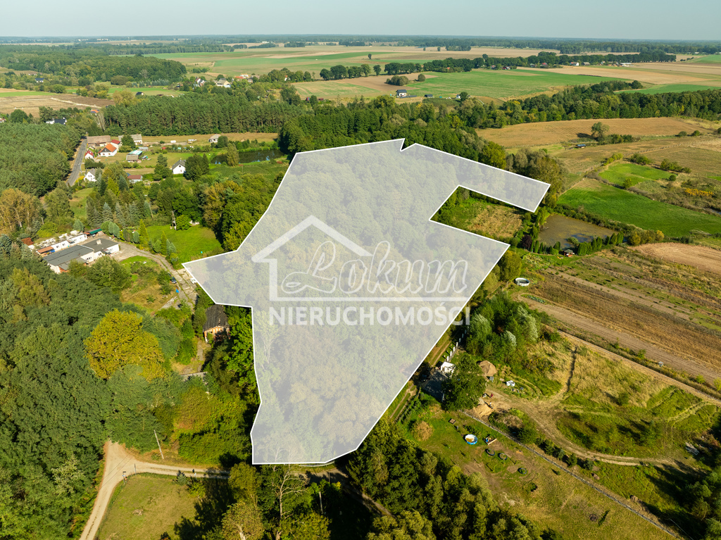 Działka rolna 2,92&nbsp;ha, Stawno - zdjęcie 10