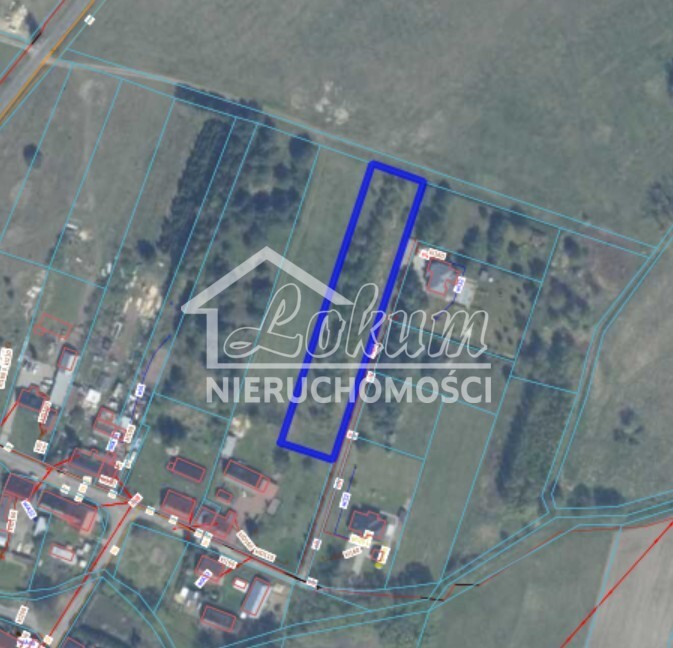 Działka budowlana 4365&nbsp;m², Dzisna - zdjęcie 5