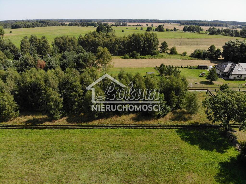 Działka budowlana 4365&nbsp;m², Dzisna - zdjęcie 3