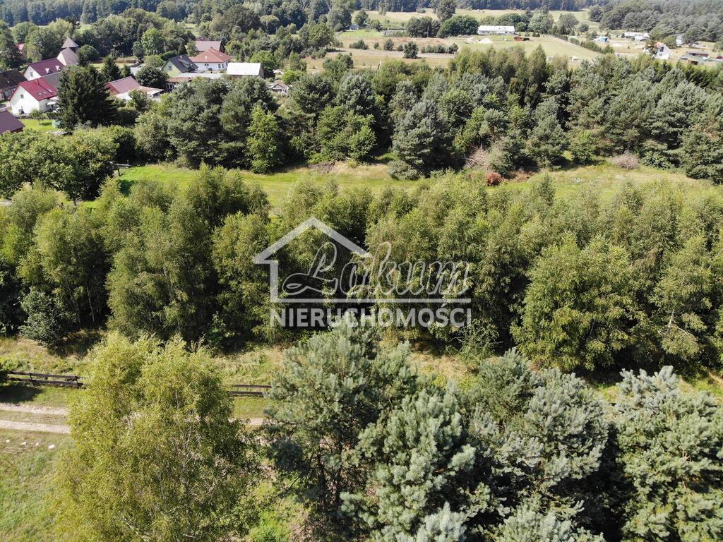 Działka budowlana 4365&nbsp;m², Dzisna - zdjęcie 4
