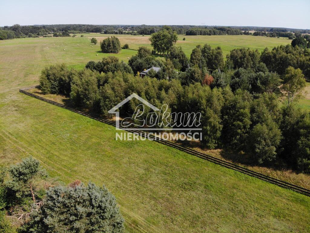 Działka budowlana 4365&nbsp;m², Dzisna - zdjęcie 2