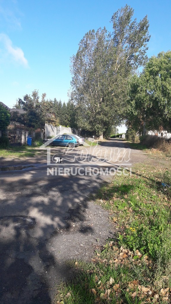 Działka budowlana 2,52&nbsp;ha, Kołbaskowo - zdjęcie 3