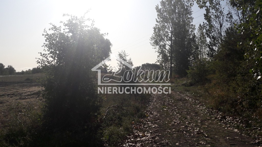 Działka budowlana 2,52&nbsp;ha, Kołbaskowo - zdjęcie 2