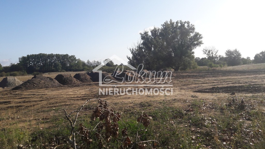 Działka budowlana 2,52&nbsp;ha, Kołbaskowo - zdjęcie 1