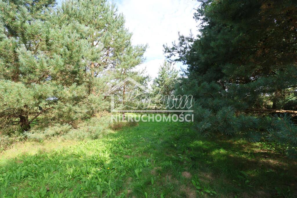 Działka budowlana 3361 m², Przybiernów - zdjęcie 3