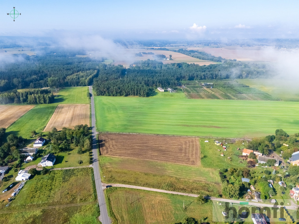 Działka budowlana 2400&nbsp;m², Sosnówka - zdjęcie 3
