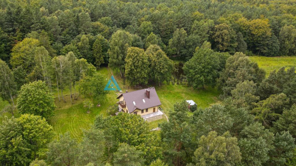 Urokliwy dom w Porąbie z własnym stawem - zdjęcie 4