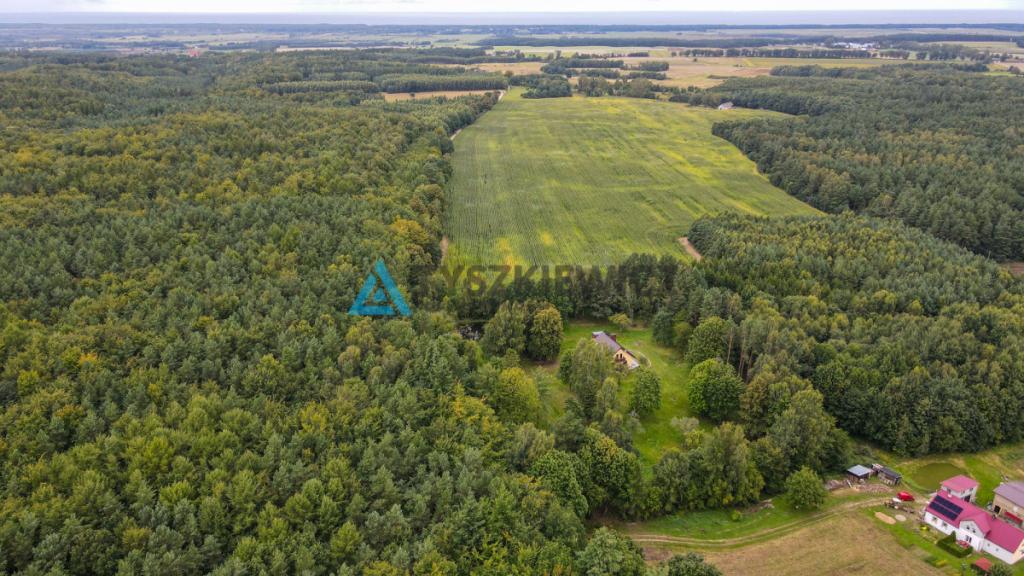 Urokliwy dom w Porąbie z własnym stawem - zdjęcie 2
