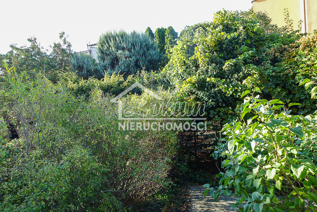 Mieszkanie 101,25&nbsp;m², Szczecin - zdjęcie 4