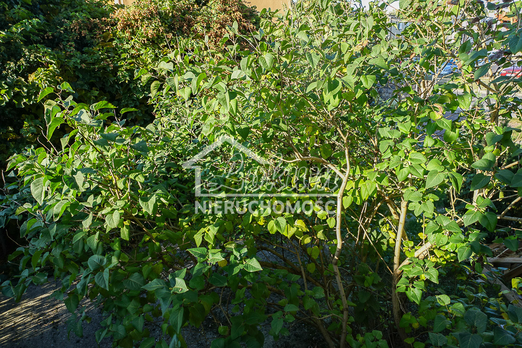 Mieszkanie 101,25&nbsp;m², Szczecin - zdjęcie 17