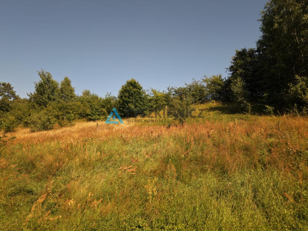 Działki nad Jeziorem Okunińskim w Okuninie - zdjęcie 8