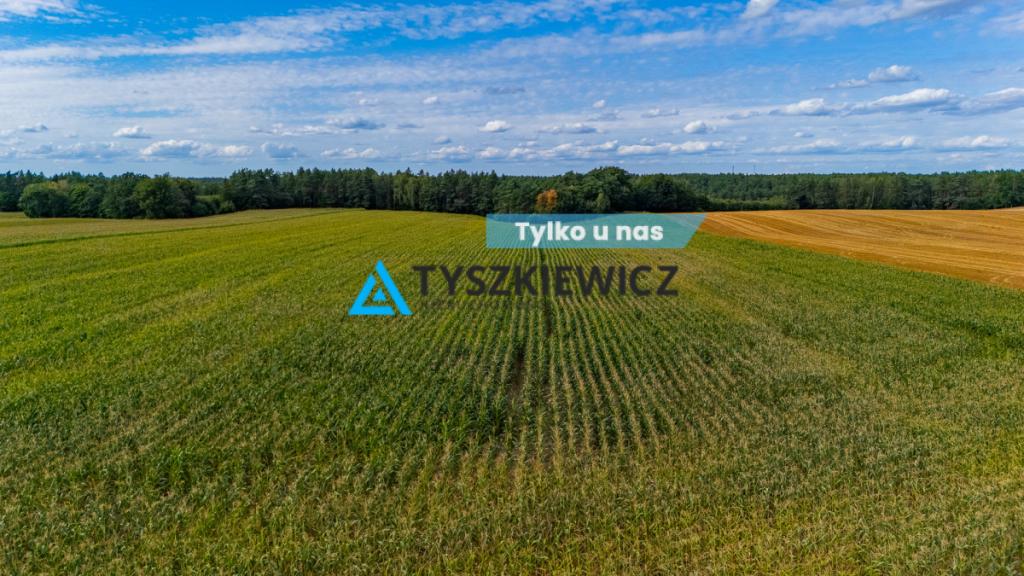 Działka Rolna- 2.0311 ha- Lisewo, gmina Przechlewo - zdjęcie 1