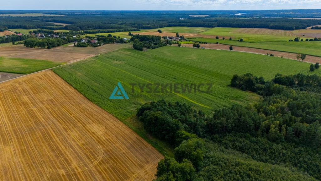 Działka Rolna- 2.0311 ha- Lisewo, gmina Przechlewo - zdjęcie 2