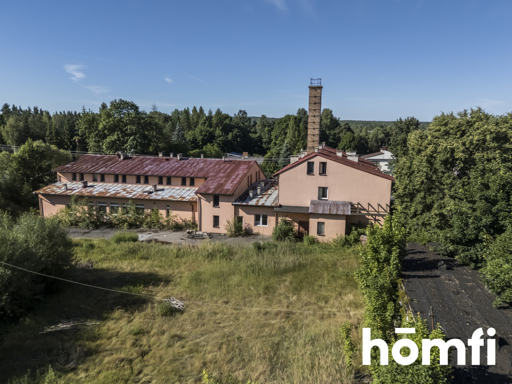 Lokal na gastronomię na sprzedaż, 958&nbsp;m², Bliżyn, Kościuszki - zdjęcie 11
