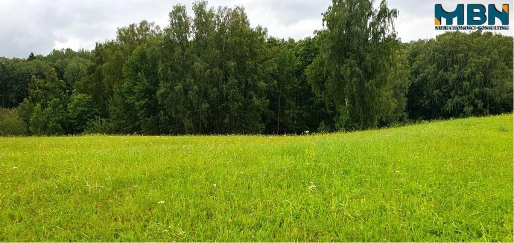 Działka gospodarstwo 28,01&nbsp;ha, Pogorzel - zdjęcie 17