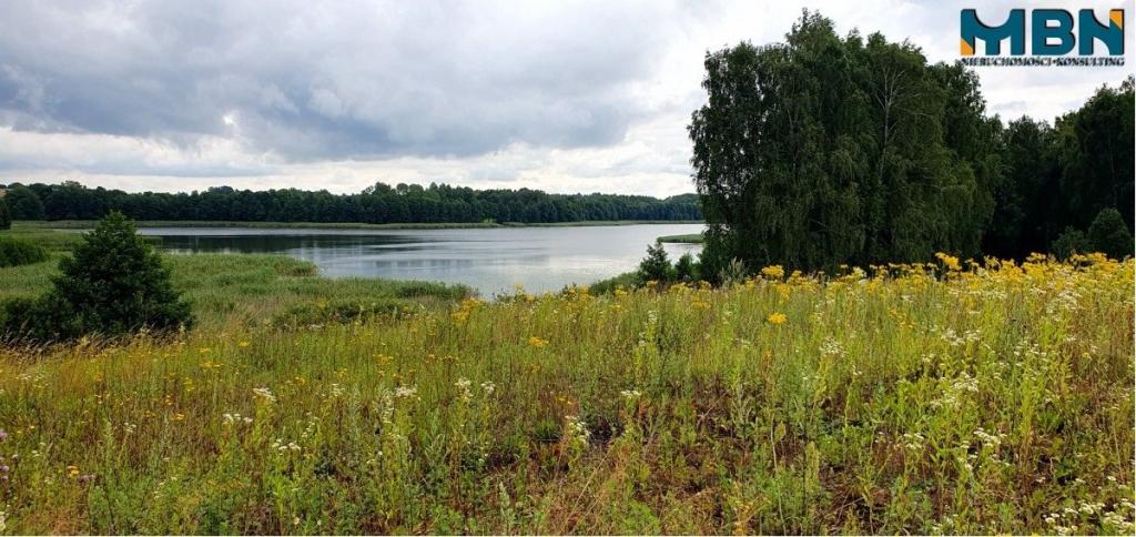 Działka gospodarstwo 28,01&nbsp;ha, Pogorzel - zdjęcie 4