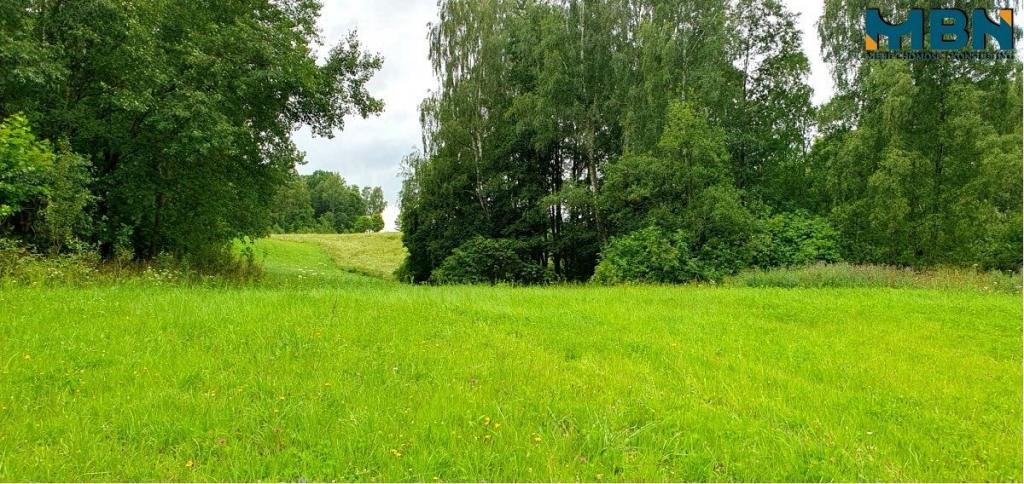 Działka gospodarstwo 28,01&nbsp;ha, Pogorzel - zdjęcie 7