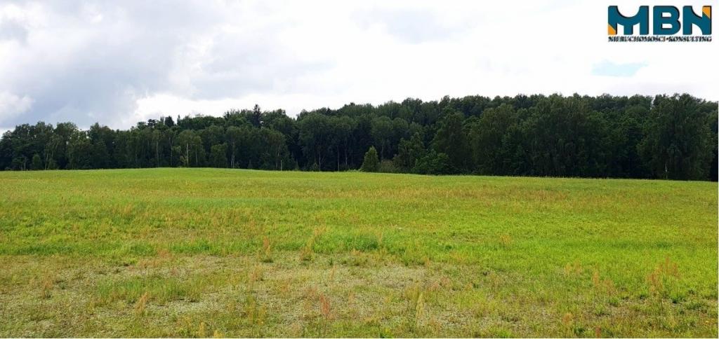 Działka gospodarstwo 28,01&nbsp;ha, Pogorzel - zdjęcie 15
