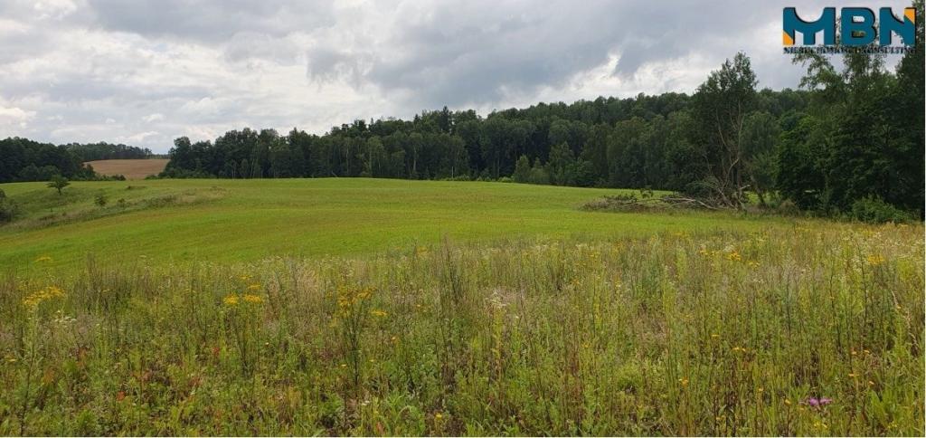 Działka gospodarstwo 28,01&nbsp;ha, Pogorzel - zdjęcie 22