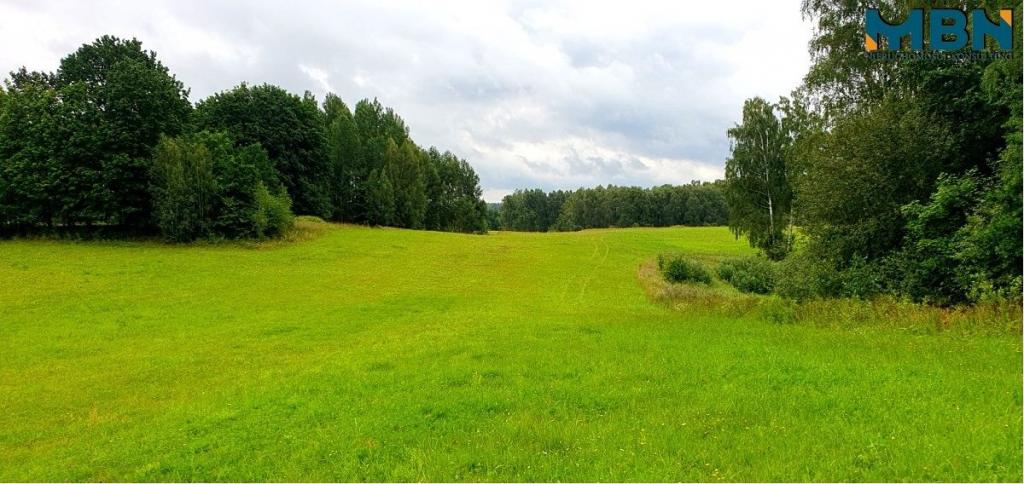 Działka gospodarstwo 28,01&nbsp;ha, Pogorzel - zdjęcie 5