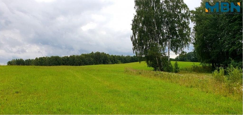 Działka gospodarstwo 28,01&nbsp;ha, Pogorzel - zdjęcie 9