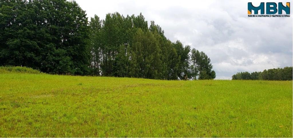 Działka gospodarstwo 28,01&nbsp;ha, Pogorzel - zdjęcie 10