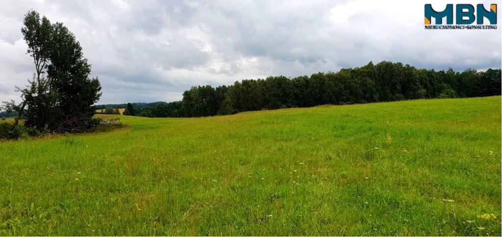 Działka gospodarstwo 28,01&nbsp;ha, Pogorzel - zdjęcie 12