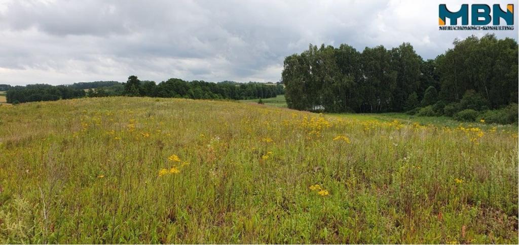 Działka gospodarstwo 28,01&nbsp;ha, Pogorzel - zdjęcie 20