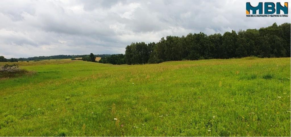 Działka gospodarstwo 28,01&nbsp;ha, Pogorzel - zdjęcie 14