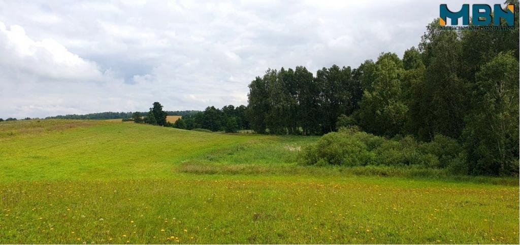 Działka gospodarstwo 28,01&nbsp;ha, Pogorzel - zdjęcie 16