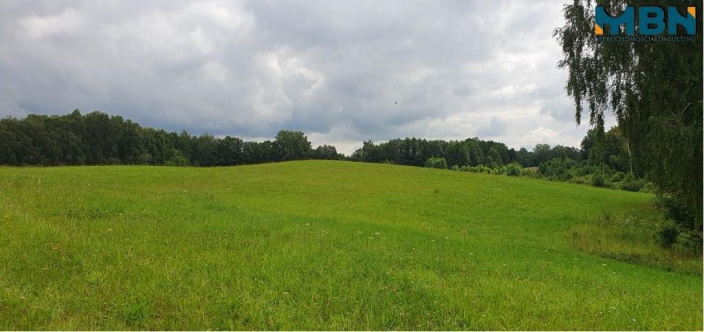 Działka gospodarstwo 28,01&nbsp;ha, Pogorzel - zdjęcie 11