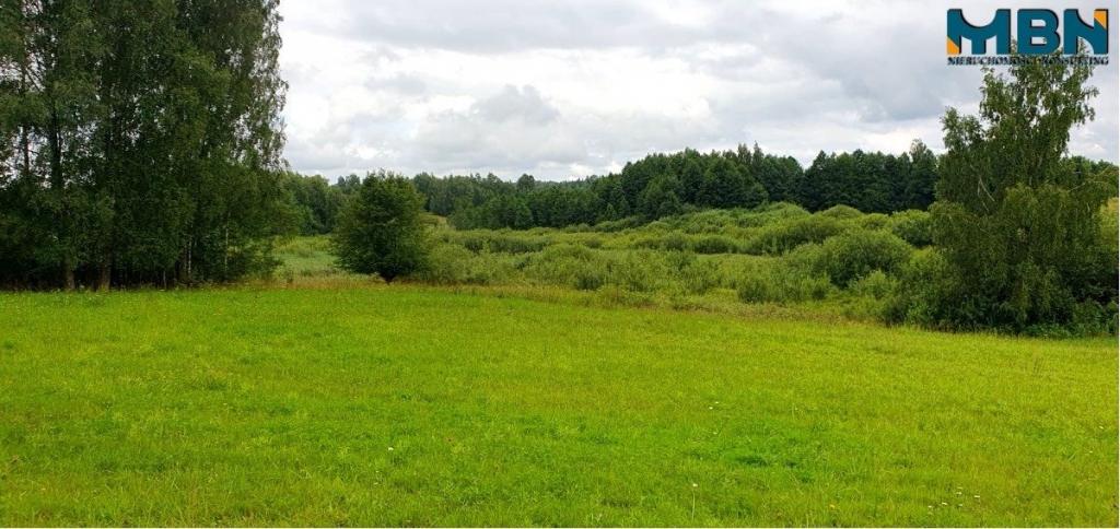 Działka gospodarstwo 28,01&nbsp;ha, Pogorzel - zdjęcie 6