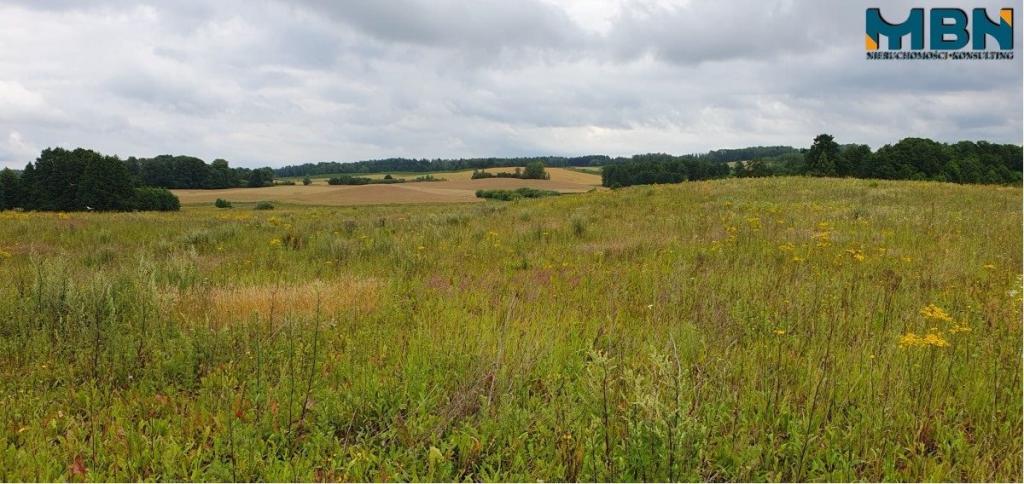 Działka gospodarstwo 28,01&nbsp;ha, Pogorzel - zdjęcie 19