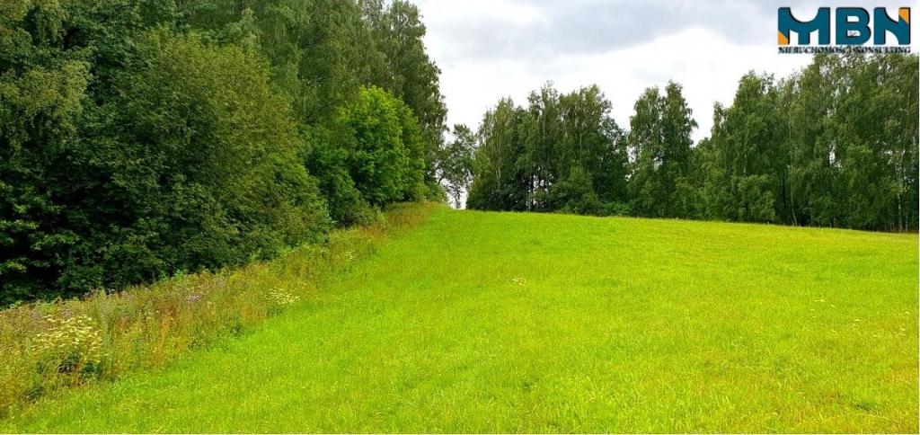 Działka gospodarstwo 28,01&nbsp;ha, Pogorzel - zdjęcie 8
