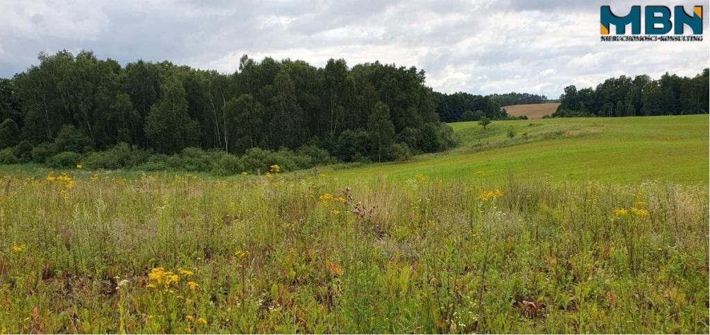 Działka gospodarstwo 28,01&nbsp;ha, Pogorzel - zdjęcie 21