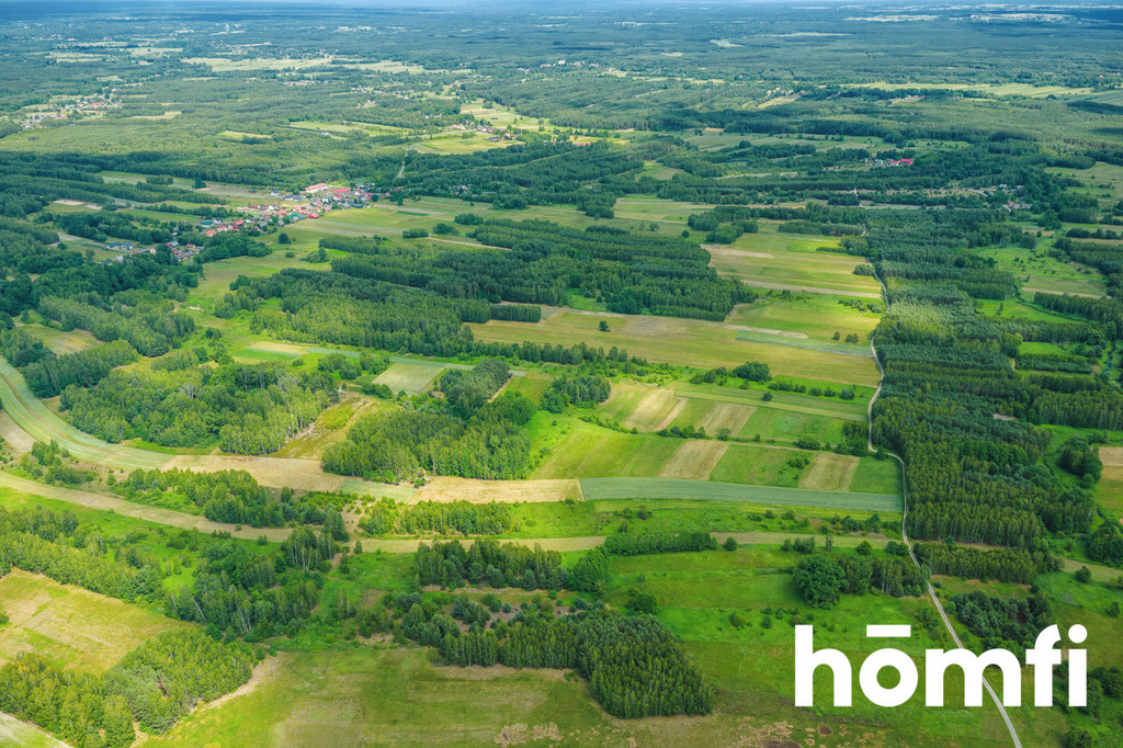 Działka rolna 1,50 ha, Krzątka - zdjęcie 8