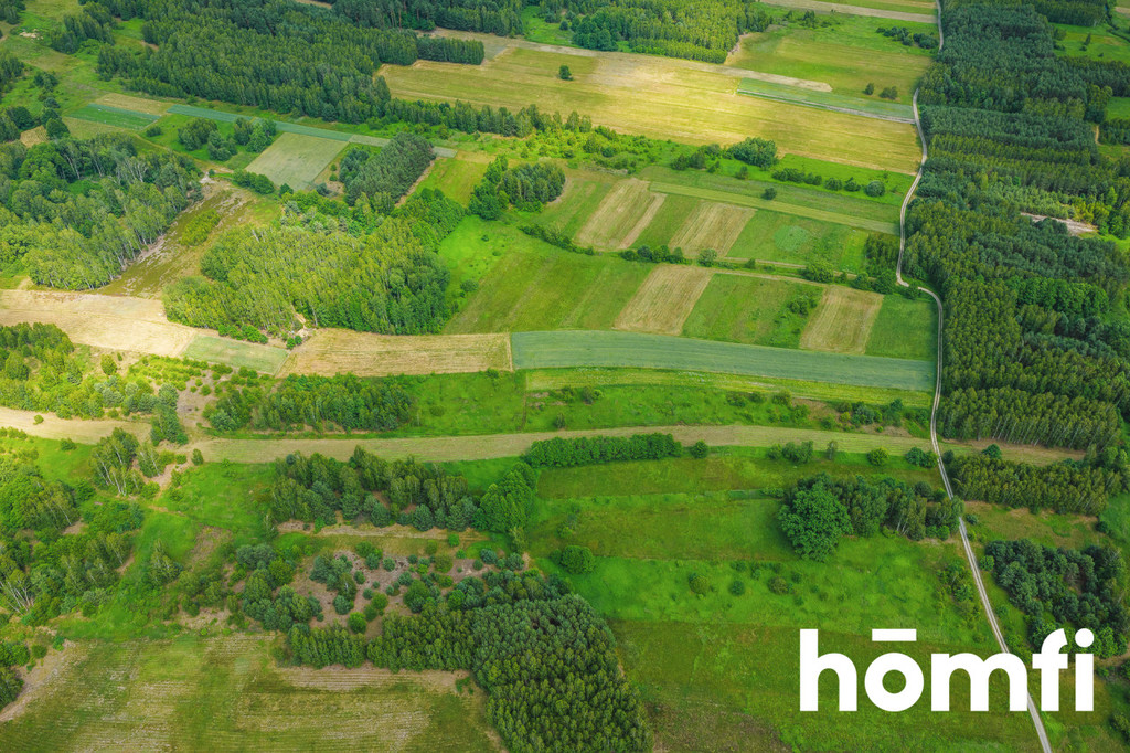 Działka rolna 1,50 ha, Krzątka - zdjęcie 7
