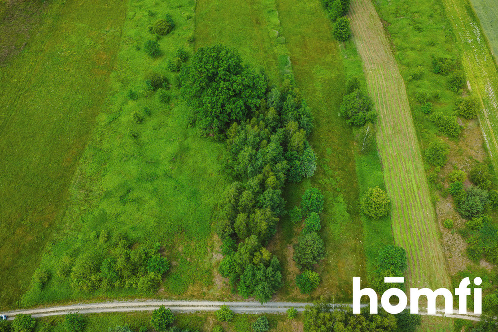 Działka rolna 1,50 ha, Krzątka - zdjęcie 4