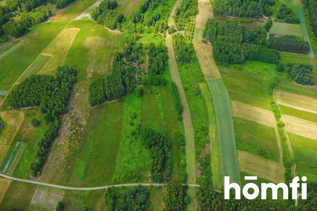 Działka rolna 1,50 ha, Krzątka - zdjęcie 5
