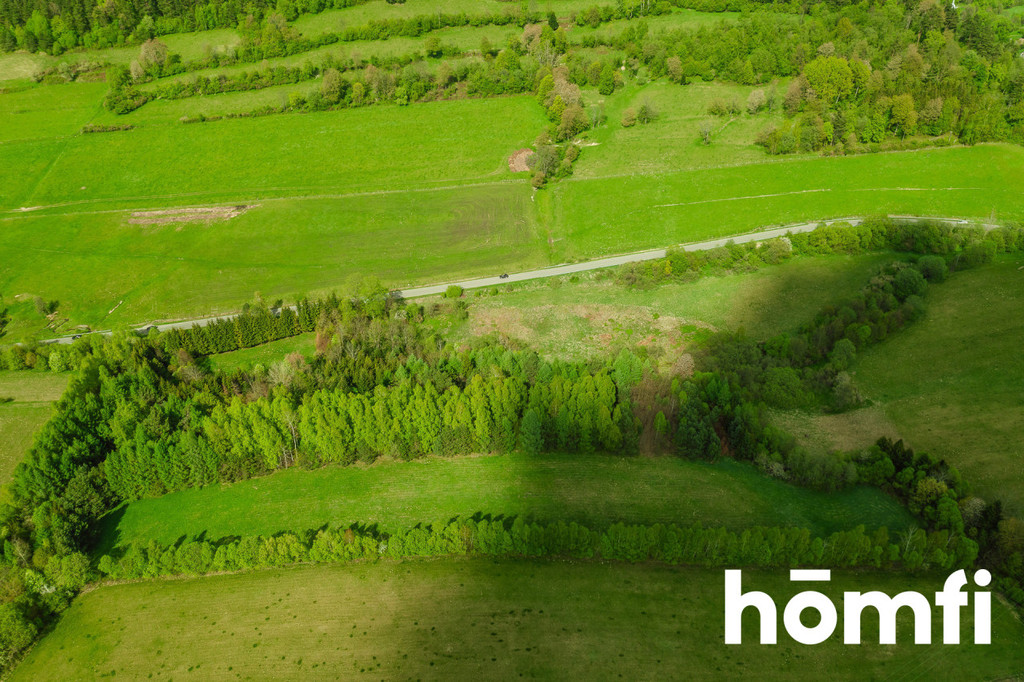Działka rolna 3,28&nbsp;ha, Hoszowczyk - zdjęcie 9