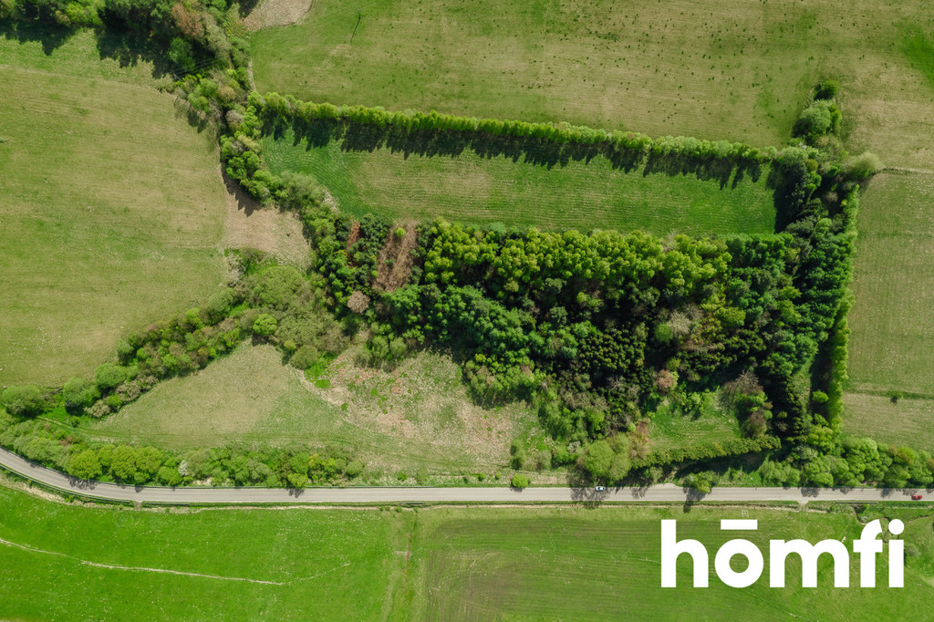 Działka rolna 3,28&nbsp;ha, Hoszowczyk - zdjęcie 15